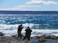 Fly fishing picture