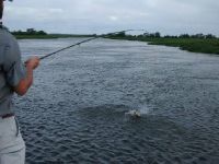 Fly fishing picture