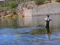 Foto de pesca con mosca