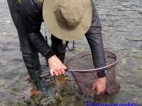 Foto de pesca con mosca