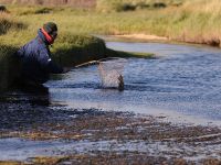 Fly fishing picture