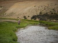 Fly fishing picture