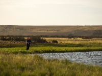 Fly fishing picture