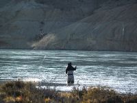 Fly fishing picture