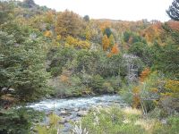 Malleo superior -  Parque nacional Lanin