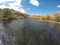 Foto de pesca con mosca