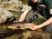 Fly fishing picture