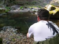 Fly fishing picture