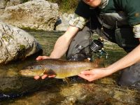 Fly fishing picture