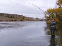 Foto de pesca con mosca