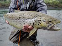 Foto de pesca con mosca