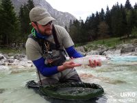 Urko Fishing Adventures Day 2: Soča (Fisheries Research Institute of Slovenia)