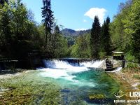 Urko Fishing Adventures Day 3: Radovna (Fisheries Research Institute of Slovenia)