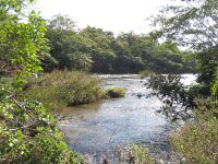 Foto de pesca con mosca