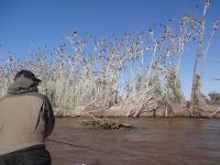 Fly fishing picture