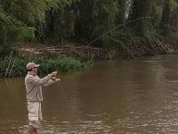 Fly fishing picture