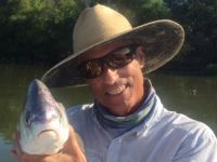 Freshwater drum on fly.