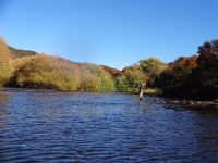 Foto de pesca con mosca