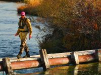 Fly fishing picture