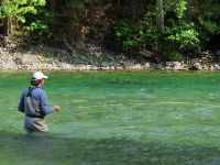 Fly fishing picture