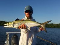 Spanish Mackerel that was mixed in with some Jacks.