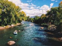 Fly fishing picture