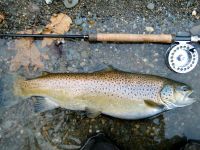 Foto de pesca con mosca