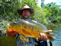 pavo 6 lbs pescado por Hector Colmenares, guia Leonardo Calderon