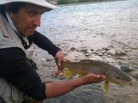 Fly fishing picture