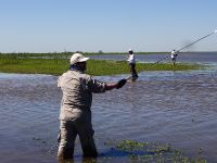 Foto de pesca con mosca