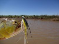 Foto de pesca con mosca