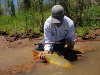 Fly fishing picture