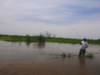 Fly fishing picture