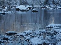 Lonely dipper.