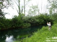 Fly fishing in Slovenia with Urko Fishing Adventures