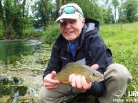 Dry fly madness at the river Bistra!