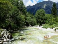 Fly fishing in Slovenia with Urko Fishing Adventures