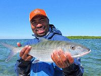 Winter time Biscayne bay bonefish