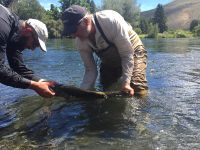 Foto de pesca con mosca