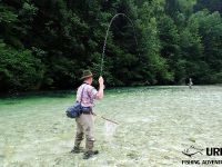 Fly fishing in Slovenia with Urko Fishing Adventures - Sava Bohinjka