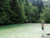 Fly fishing in Slovenia with Urko Fishing Adventures - Sava Bohinjka