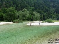 Fly fishing in Slovenia with Urko Fishing Adventures - Sava Bohinjka