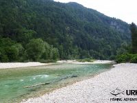 Fly fishing in Slovenia with Urko Fishing Adventures - Sava Bohinjka