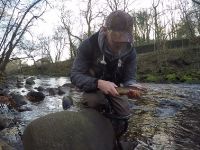 Fly fishing picture