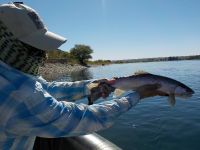 Foto de pesca con mosca