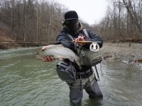 Fly fishing picture