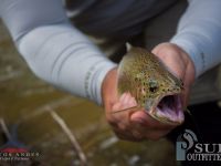 Foto de pesca con mosca