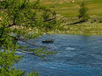 Fly fishing picture