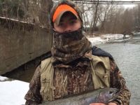 Steelhead