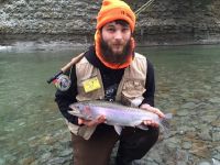 Steelhead 